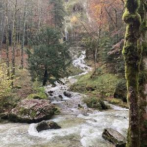Ruisseau